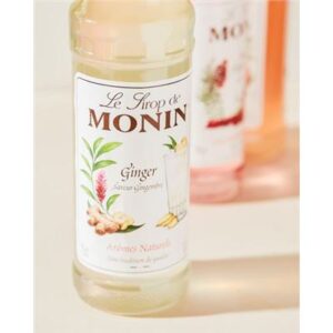 MONIN SYRUP GINGER 700ML (6)