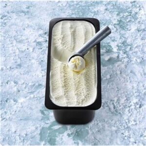 ICE CREAM VEGAN GOLD LABEL VANILLA 5LT