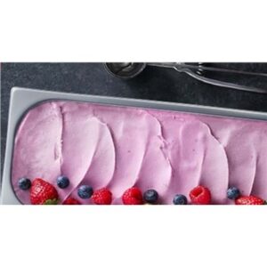 FRUITS OF THE FOREST SORBET EVEREST 5LT