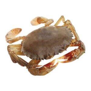 CRAB WHOLE SOFT SHELL GALPAK 100/120 1KG (10) (I)