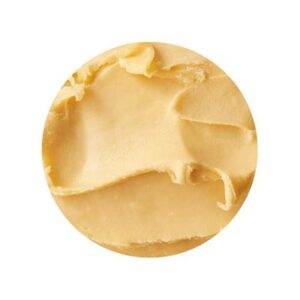 MANGO SORBET BRAVO GELATO 5LT