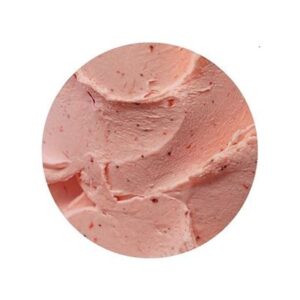 STRAWBERRY SORBET BRAVO GELATO 5LT