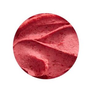 RASPBERRY SORBET BRAVO GELATO 5LT