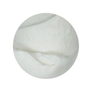 COCONUT BRAVO GELATO 5LT