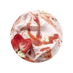 BERRY CHEESECAKE BRAVO GELATO 5LT