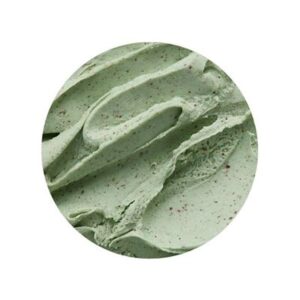 CHOC MINT BRAVO GELATO 5L