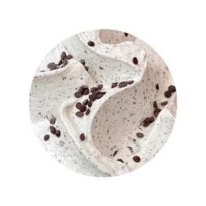 CHOC CHIP GELATO BRAVO GELATO 5L