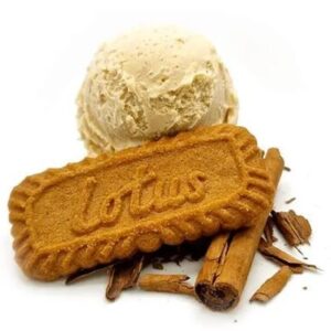 SPECULOOS (BISCOFF) BRAVO GELATO 5LT