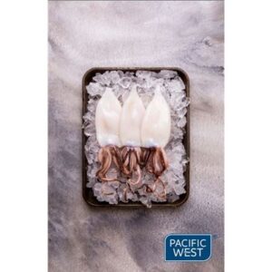 SQUID LOLIGO WHOLE CLEANED 10-15CM 5x1KG (SOLD BY CARTON)