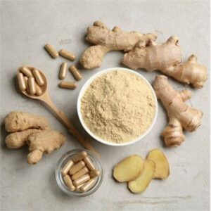 GINGER GROUND GOURMET TECH 1KG