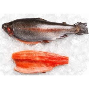 OCEAN TROUT FILLET SKIN ON B/LESS FRESH R/W