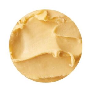 MANGO SORBET BRAVO GELATO 5LT