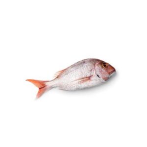 SNAPPER FRESH WHOLE SML (500G)