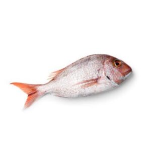 SNAPPER FRESH WHOLE MED (1KG)