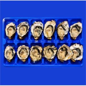 OYSTERS PACIFIC LARGE FRESH 1/2 SHELL (DOZ)