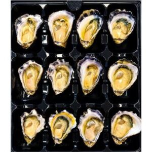 OYSTERS SYDNEY ROCK SMALL FRESH 1/2 SHELL (DOZ)