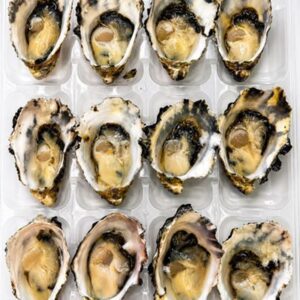 OYSTERS PACIFIC MEDIUM FRESH 1/2 SHELL (DOZ)