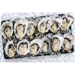 OYSTERS PACIFIC XLARGE FRESH 1/2 SHELL (DOZ)