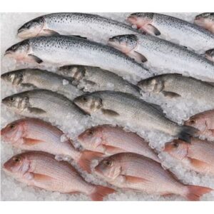 Whole Fish
