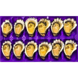 OYSTERS SYDNEY ROCK EXTRA LARGE FRESH  1/2 SHELL (DOZ)