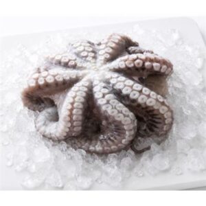 OCTOPUS XL IQF 9KG R/W GREAT OCEAN (SOLD BY CTN)