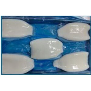 SQUID TUBES U3's  PORTE D'MER 5KG (I)