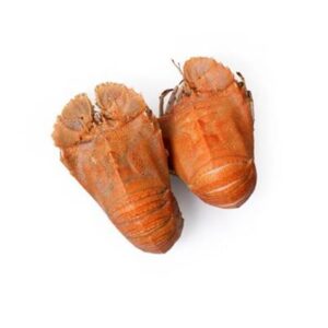 MORETON BAY BUGS COOKED FRESH XLARGE (A)