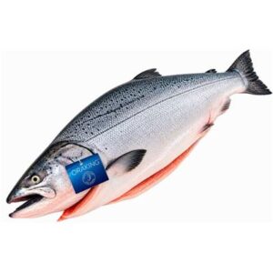 ORA KING SALMON HOG FRESH WHOLE R/W