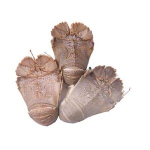 RAW WHOLE MORETON BAY BUGS 150/200 (10KG) (I)
