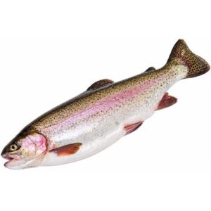 RAINBOW TROUT FRESH WHOLE R/W (A)