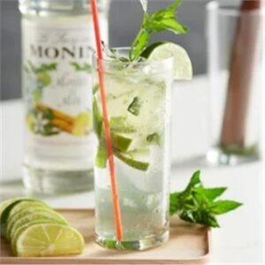 MONIN SYRUP MOJITO MINT 700ML (6)