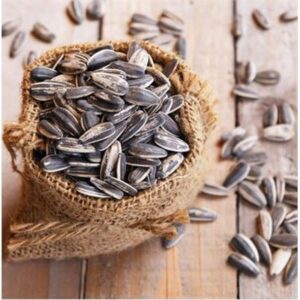 SUNFLOWER SEEDS GOURMET TECH 1KG (12)