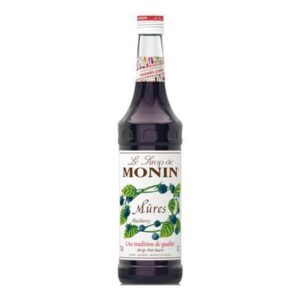 MONIN SYRUP BLUEBERRY 700ML (6)