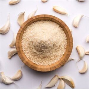 GARLIC POWDER GOURMET TECH 1KG (20)