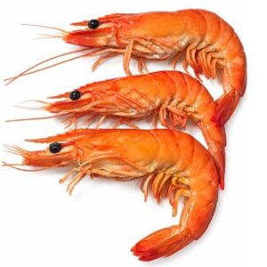 TIGER PRAWNS COOKED FRESH LARGE (A)