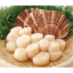 SCALLOP MEAT (16/18) XL HOKKAIDO JAPANESE SCALLOP